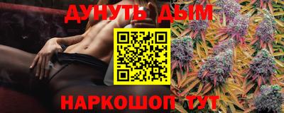 индика Пугачёв